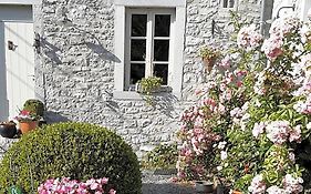 A L'Ombre Du Noyer